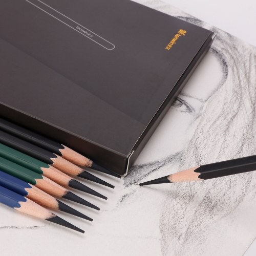 

tenwin 12pcs Professional Charcoal Pencils Set