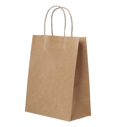 

Kraft Paper Bags with Handles for Birthday Gift Wedding Parties Shopping Boutique Bag Grocery Retail 10PCS 15x8x21cm/5.9x3.1x9.3in