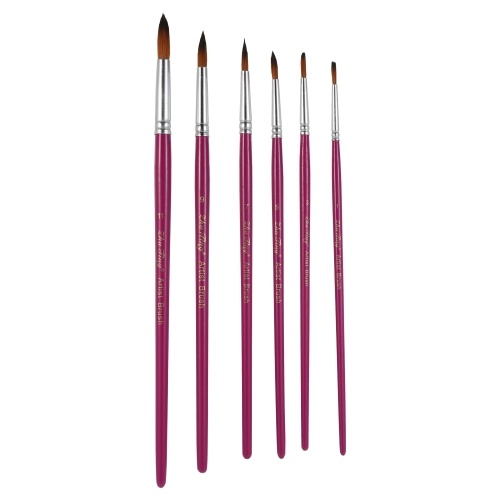 6pcs pinceaux professionnels ensemble de pinceaux à pointe pointue