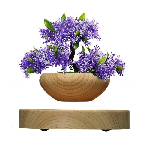 

Magnetic Levitating Flowerpot Air Bonsai Pot