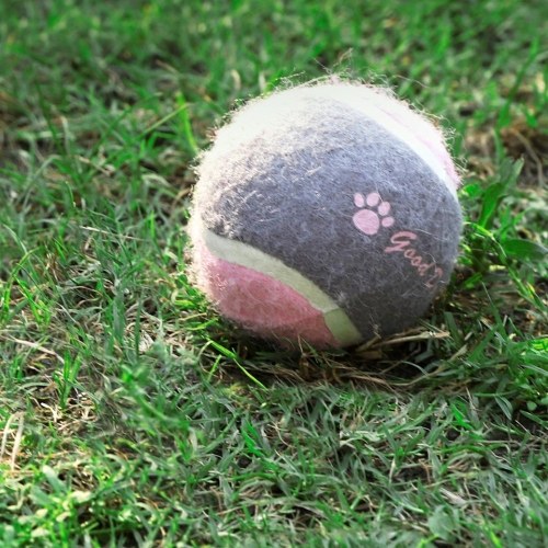 

youpin 2.5" Dog Tennis Ball Large Pet Toys Funny Outdoor Sports Dog Ball Gift
