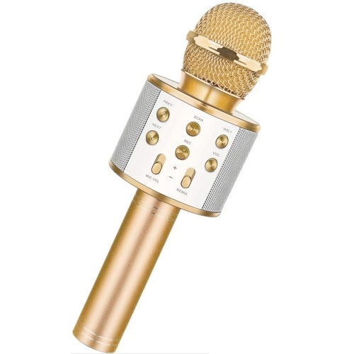 

WS-858 Portable Wireless Karaoke Microphone