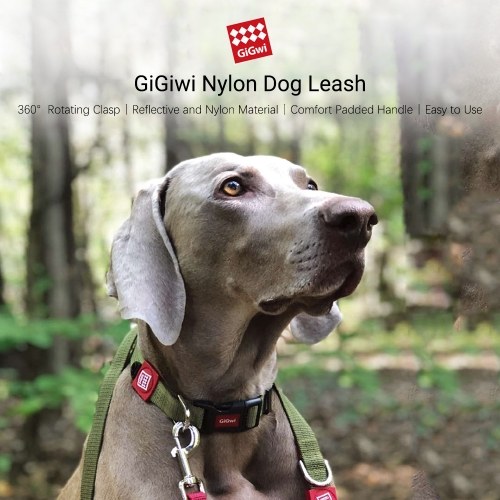 

GiGiwi Nylon Dog Leash and Dog Collar Set Reflective Nylon Dog Leash with Soft Padded Handle for Training/Walking Lead