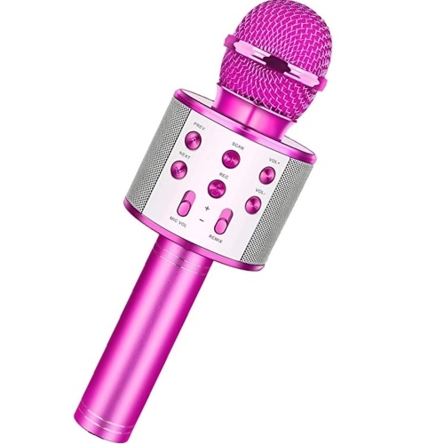 

WS-858 Portable Wireless Karaoke Microphone