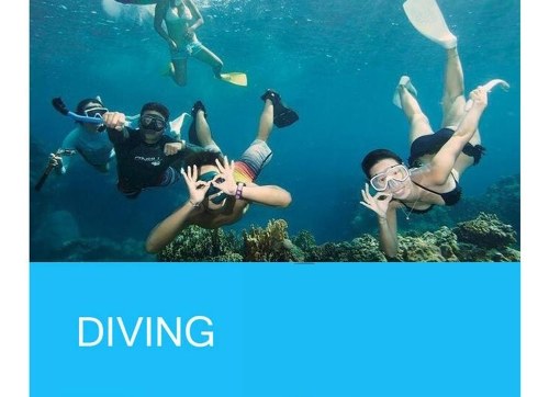 

Universal Phone Waterproof Pouch IPX8 Lightweight Portable PVC bag Underwater Pouch Dry Case Cover Protect Phone Bag Swimming Bag for Samsung Galaxy S8 iPhone X iPhone 8 Plus Motorola Moto Z HTC U11