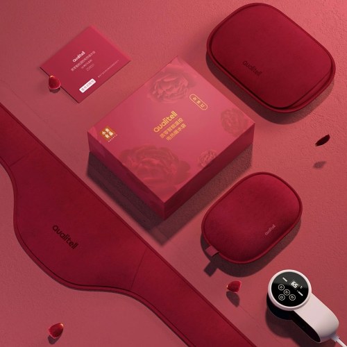 

Qualitell Portable Rechargeable Hot Water Bottle w/Hand Bag/Waist Bag/Explosion Proof/Digital Display/Tip-over Protection Electric Winter Body Hand Foot Warmer Heat Warming Bag Gift for Girlfriend Wife 220V