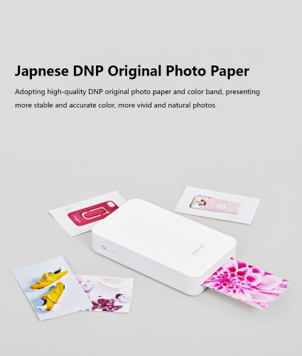 Integrated design essay 08 image