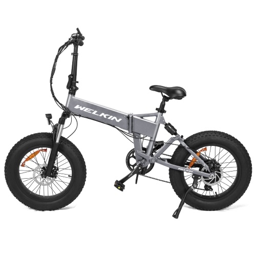 

WELKIN WKES001 Folding Electric Bike 48V 250W 10AH Battery Max Speed 25km/h