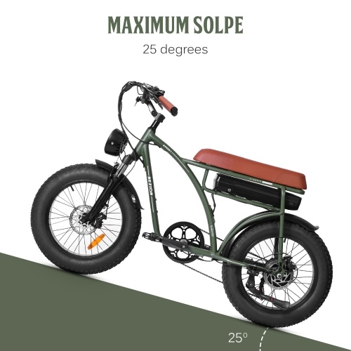

BEZIOR XF001 Electric Bike 48V 1000W 12.5AH Battery Max Speed 45km/h