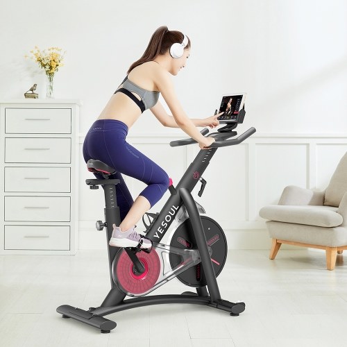 

YESOUL S3 Indoor Cycling Stationary Exercise Bike