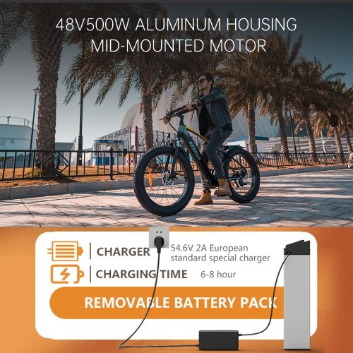 

BEZIOR XF800 Electric Bike 48V 500W 13AH Battery Max Speed 40km/h