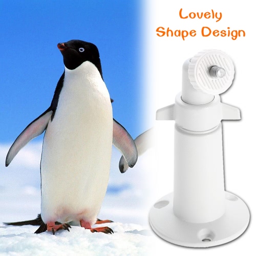 

Metal Indoor Outdoor Adjustable Mount Camera
