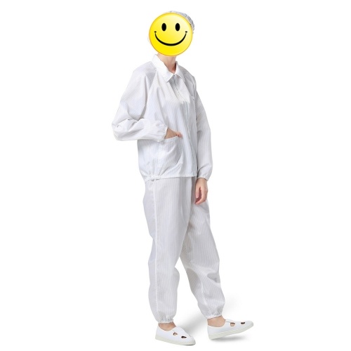 

A Suit of Factory Anti-Static Safety Dust-proof Clothes Workwear Clean Room Protective Suit for Food Shop Medical Paint Spraying Workers