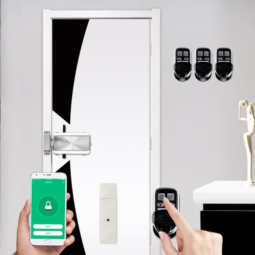 WiFi Smart Home Door Lock Kit 
