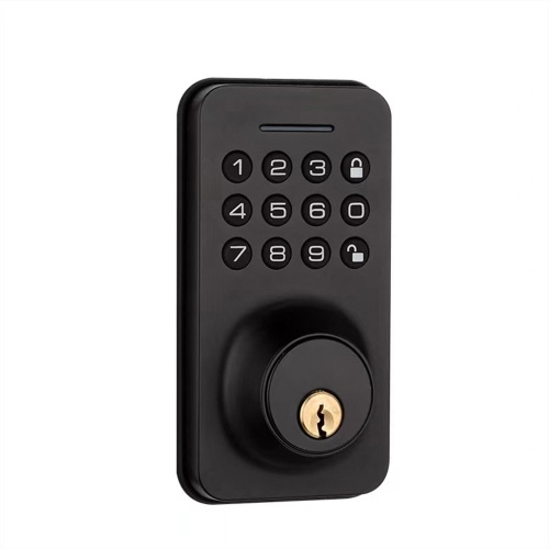 WAFU Smart Door Lock 4 Unlocked Ways tuya BT Connection APP Unlock Password Unlocking for Homes Apartments 