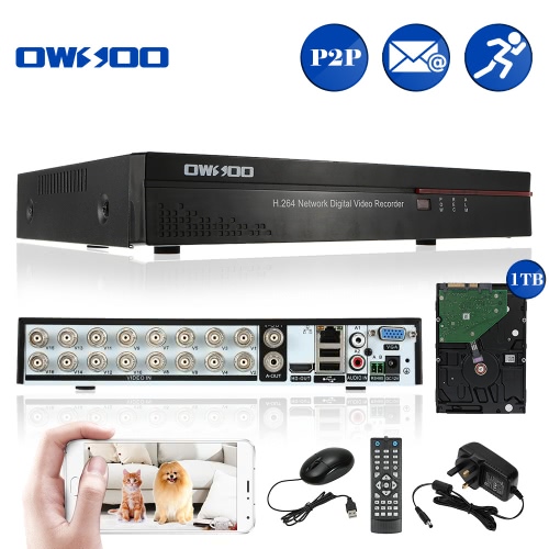 

OWSOO 16CH Channel DVR Цифровой видеорегистратор + 1 ТБ Поддержка жесткого диска Аудиозапись Управление телефоном Обнаружение движения