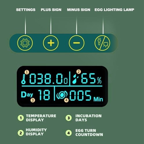 

Incubator for Hatching Eggs Automatic Egg Turning 10-28 Eggs LED Efficient Egg Illumination Display Screen Multifunctional Egg Tray Visible Polystyrene Device Cover with Egg Candle Tester Targeted for Poultry Breeders