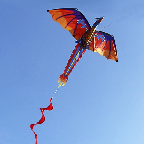 140cm x 120cm / 55 x 47 pulgadas Dragon Kite Single Line Flying Kite con cola 100m Flying Line para niños Adultos