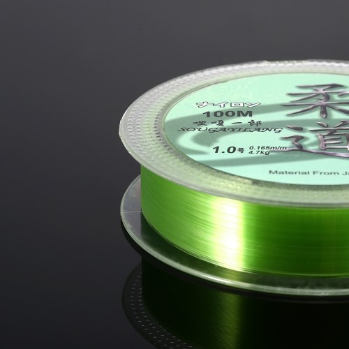 

100m Fishing Line 0.6#-8# Monofilament Fluorocarbon Nylon Fishing Line