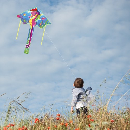 

112 x 52cm Colorful Single Line Cartoon Kite for Kids and Adults Outdoor Beach Flying Kite with 50M String