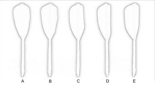 

12pcs Training Competition Duck Feather Badminton Shuttlecocks Outdoor Sports Accessories