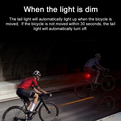 USB Rechargeable High Visibility Multifunction Bike Rear Light with Brake Sensing Cycling Tail Light Road Bike Rear Lamp 