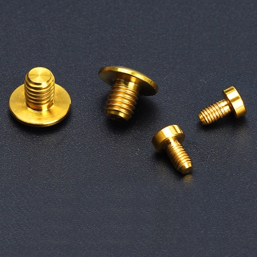 

RISK 2PCS / 4PCS TC4 Titanium Bike Hydraulic Brake Cylinder Bolts Bicycle Brake Cylinder Screw