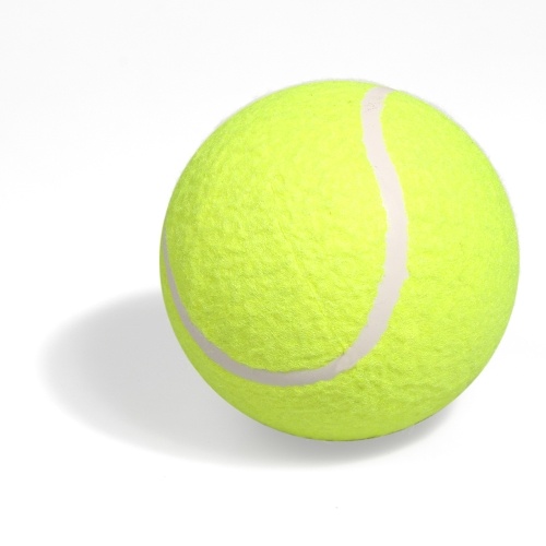 

5" Inflatable Training Tennis Ball Indoor Outdoor Practice Ball for Children Adult Pet Fun