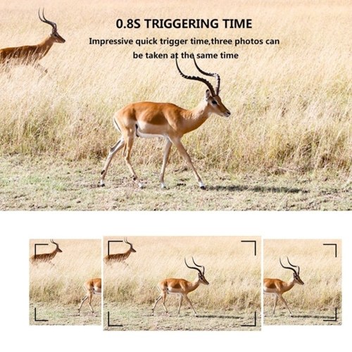 

12MP 1080P Trail Camera Hunting Game Camera