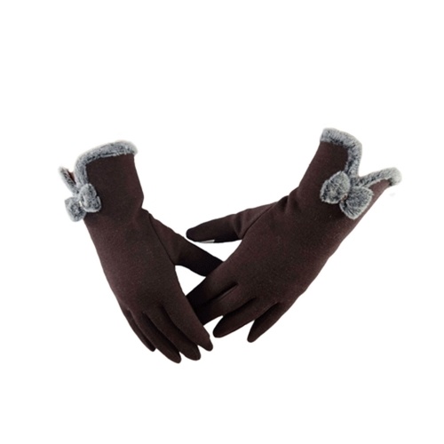 

Women Fall Winter Warm-Keeping Screen Touching Gloves