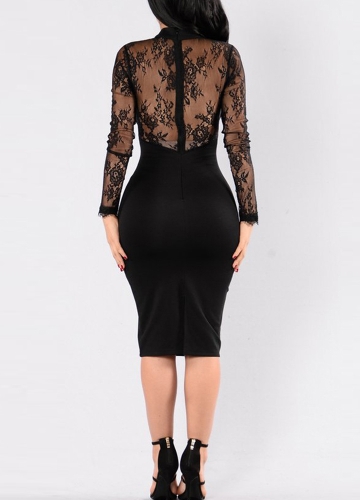 

Women Lace Floral Party Bodycon Dress