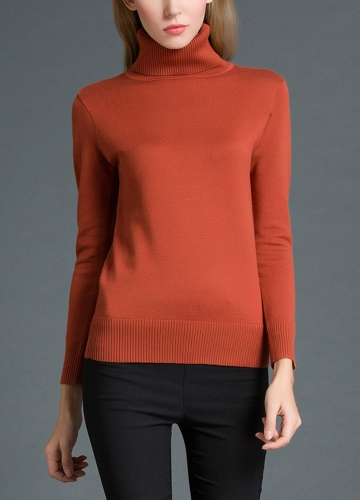 

Women Winter Sweater Knitwear Turtle Neck Ribbed Knitted Pullover Tops