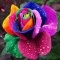 Yard Decoration Cute Plant Multi-colored Rose Seeds All Season Garden Balcony Flowers