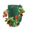 15 x 9 Inch Strawberry Grow Bags with 8 Grow Holes